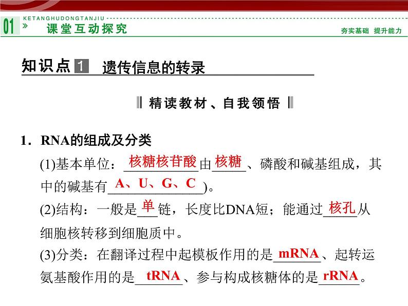 高效课堂同步课件：4-1基因指导蛋白质的合成（必修2）04