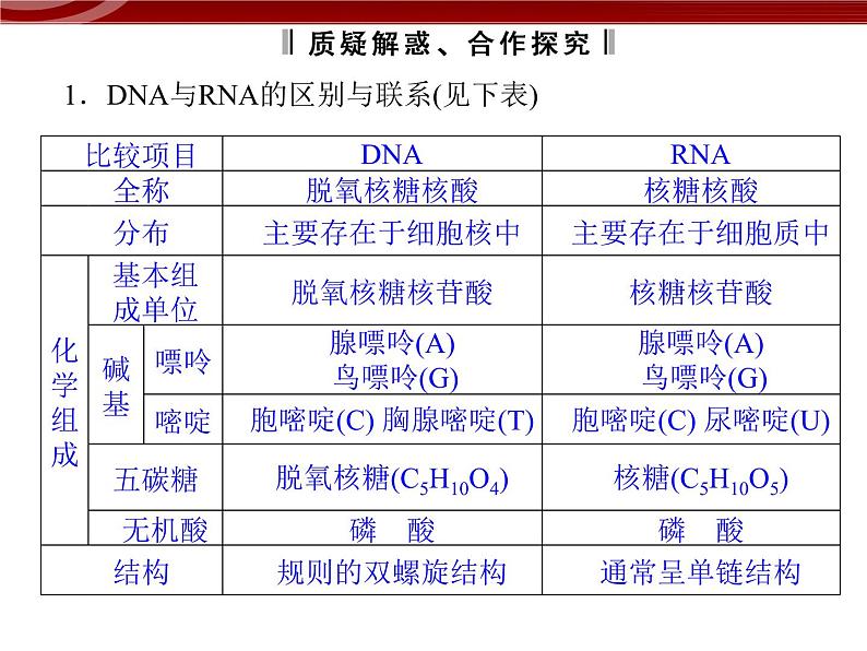 高效课堂同步课件：4-1基因指导蛋白质的合成（必修2）07