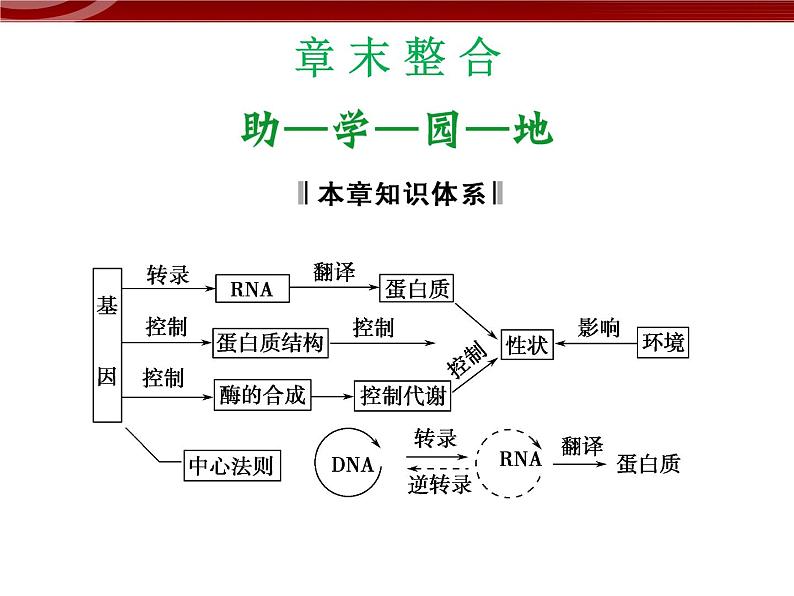 高效课堂同步课件：章末整合4《基因的表达》（必修2）01