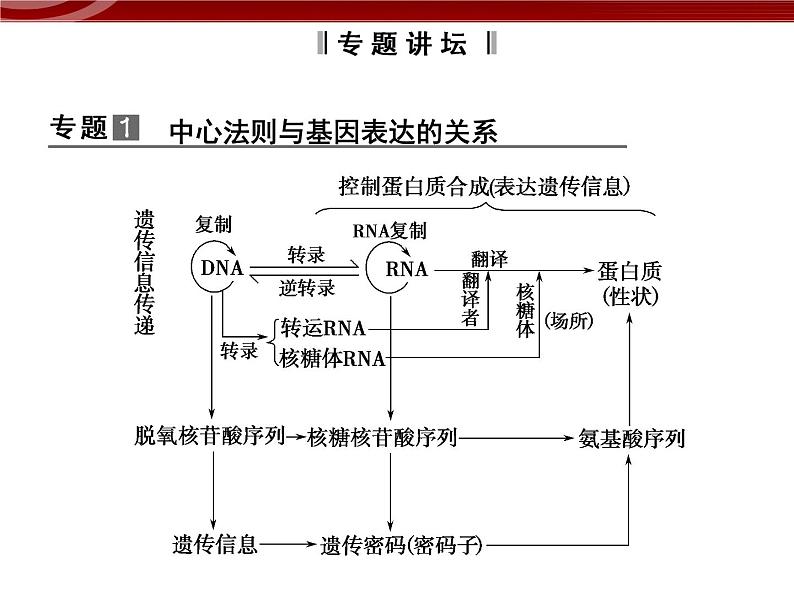 高效课堂同步课件：章末整合4《基因的表达》（必修2）02