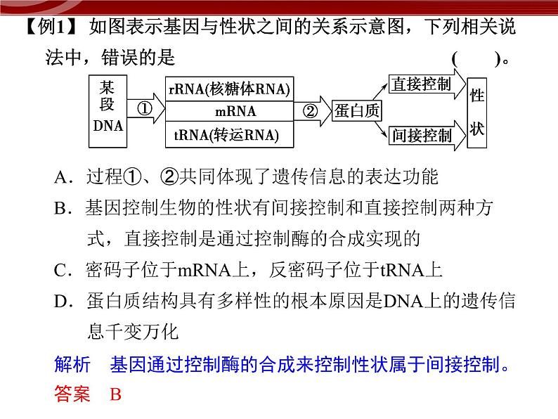 高效课堂同步课件：章末整合4《基因的表达》（必修2）03