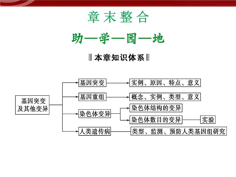 高效课堂同步课件：章末整合5《基因突变及其他变异》（必修2）01