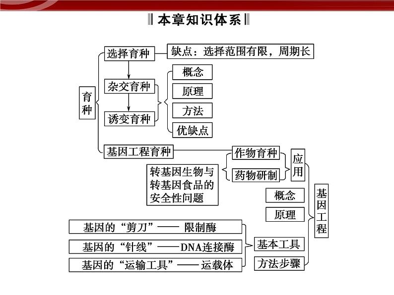 高效课堂同步课件：章末整合6《从杂交育种到基因工程》（必修2）02