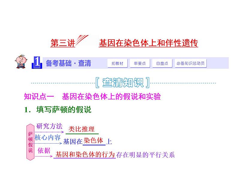 第3讲  基因在染色体上和伴性遗传第1页