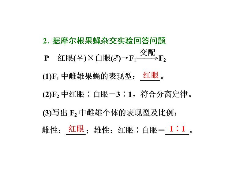 第3讲  基因在染色体上和伴性遗传第2页