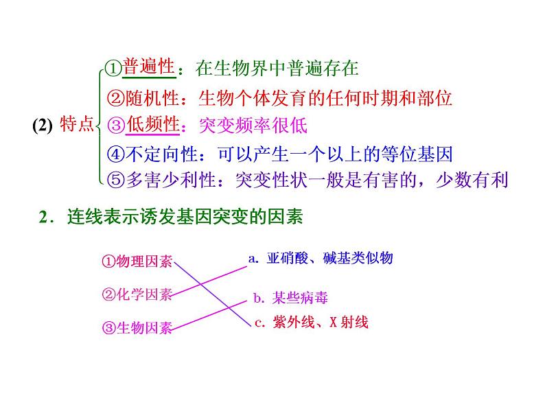第1讲  生物的变异第2页