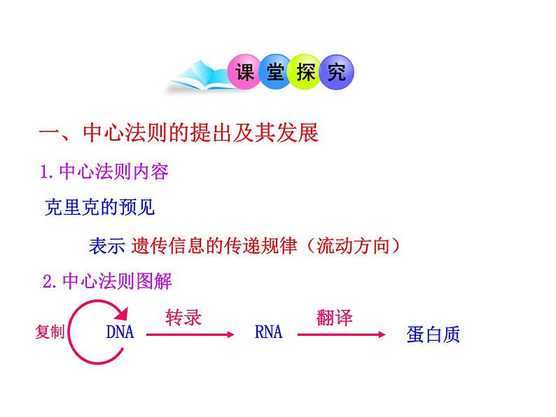 高中生物同步课件：第4章 第2节  基因对性状的控制（人教版必修2）04