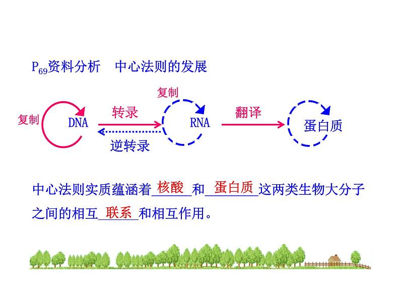 高中生物同步课件：第4章 第2节  基因对性状的控制（人教版必修2）05