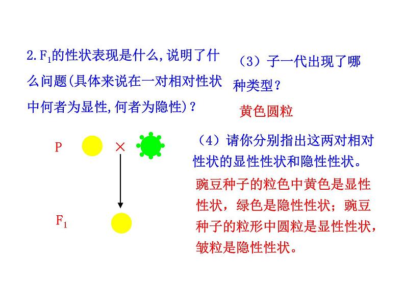 高中生物同步课件：第1章 第2节  孟德尔的豌豆杂交实验（二）（人教版必修2）08