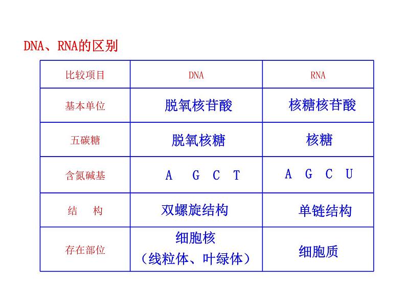 高中生物同步课件：第4章 第1节  基因指导蛋白质的合成（人教版必修2）07