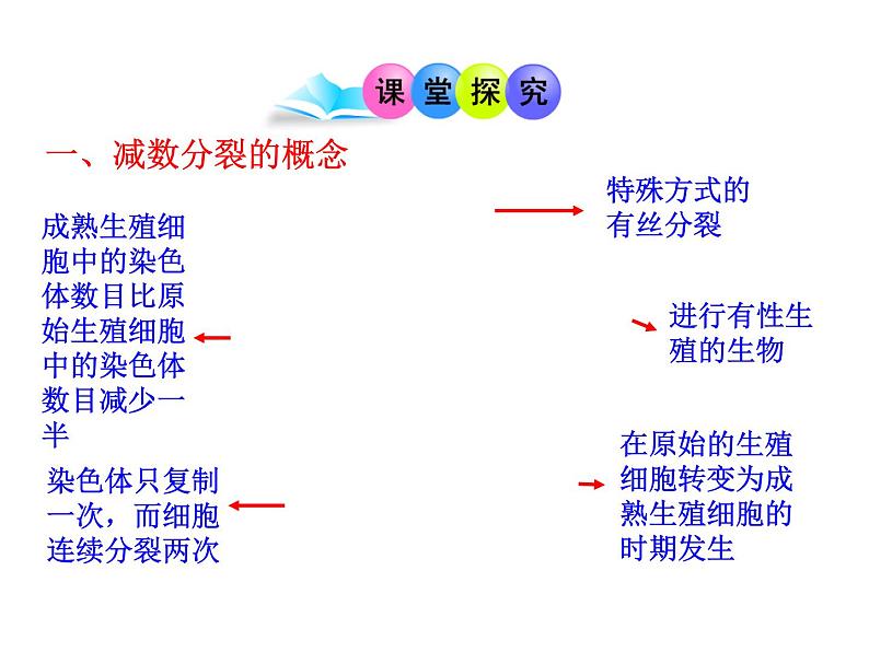 高中生物同步课件：第2章 第1节  第1课时  减数分裂（人教版必修2）08