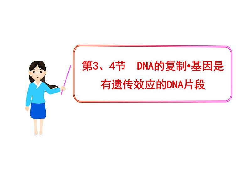 高中生物同步课件：第3章 第3、4节  DNA的复制·基因是有遗传效应的DNA片段（人教版必修2）01