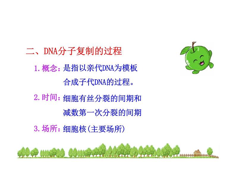 高中生物同步课件：第3章 第3、4节  DNA的复制·基因是有遗传效应的DNA片段（人教版必修2）05