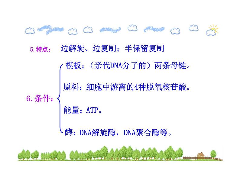 高中生物同步课件：第3章 第3、4节  DNA的复制·基因是有遗传效应的DNA片段（人教版必修2）08