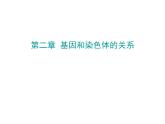 【人教版】高中生物必修二《 2.1 减数分裂》课件