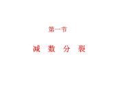 【人教版】高中生物必修二《 2.1 减数分裂》课件