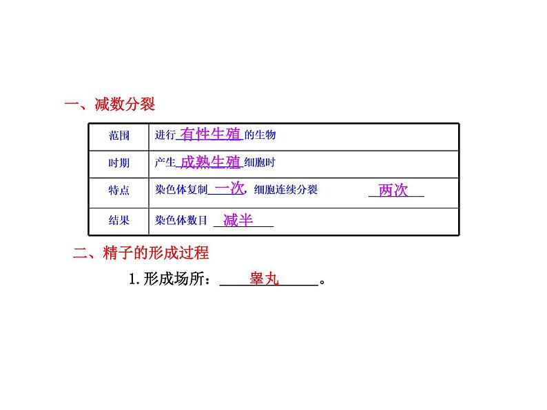 【人教版】高中生物必修二《 2.1 减数分裂》课件04