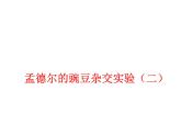 【人教版】高中生物必修二《 1.2 孟德尔的豌豆杂交实验（二）》课件（共33张PPT）