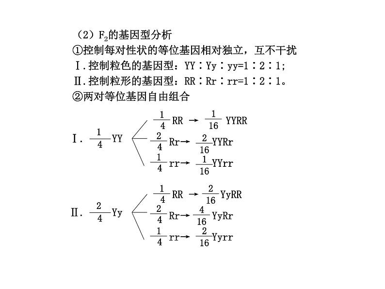 【人教版】高中生物必修二《 1.2 孟德尔的豌豆杂交实验（二）》课件（共33张PPT）08