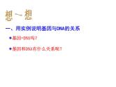 【人教版】高中生物必修二《 3.4 基因是有遗传效应的DNA片段》课件