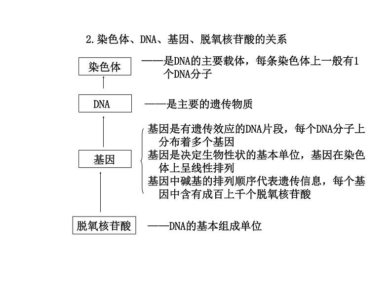 【人教版】高中生物必修二《 3.4 基因是有遗传效应的DNA片段》课件108