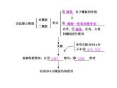 【人教版】高中生物必修二《 3.2 DNA分子的结构》课件1