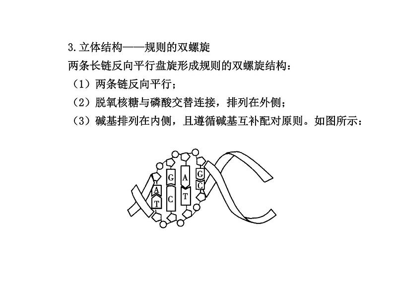 【人教版】高中生物必修二《 3.2 DNA分子的结构》课件108