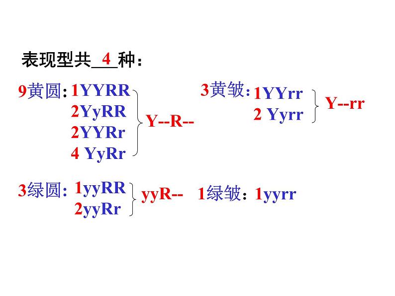 【人教版】高中生物必修二《 1.2 孟德尔的豌豆杂交实验（二）》课件（共30张PPT）06