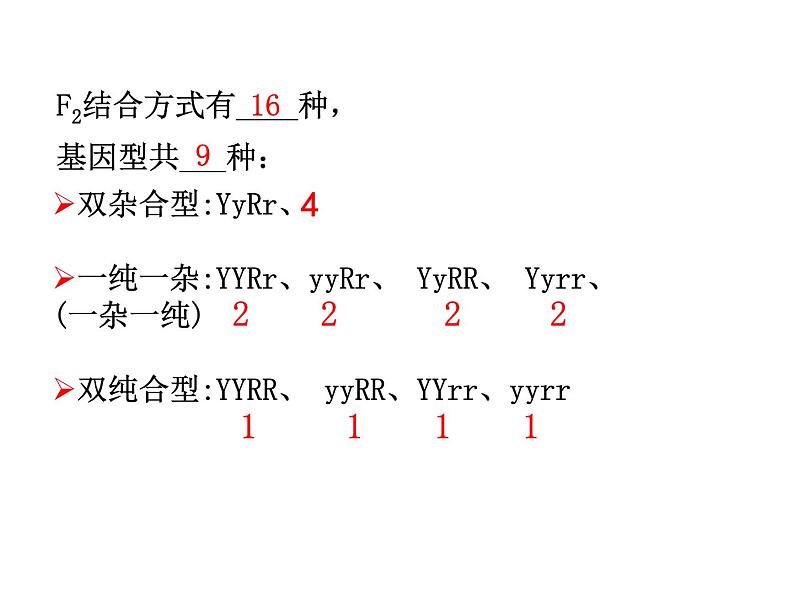 【人教版】高中生物必修二《 1.2 孟德尔的豌豆杂交实验（二）》课件（共30张PPT）08