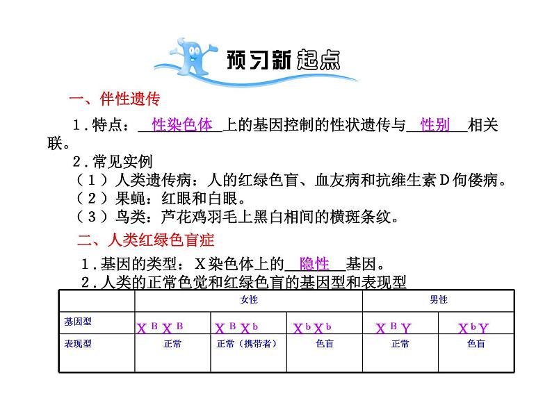 【人教版】高中生物必修二《 2.3 伴性遗传》课件02