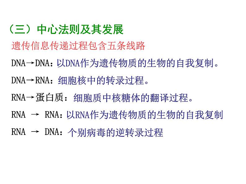 【人教版】高中生物必修二《 4.2 基因对性状的控制》课件07