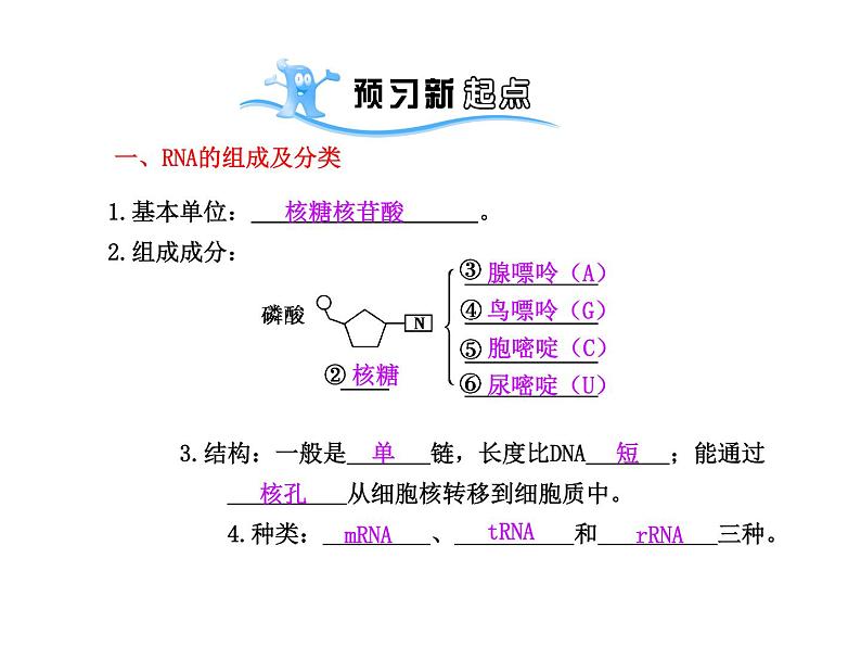 【人教版】高中生物必修二《 4.1 基因指导蛋白质的合成》课件104