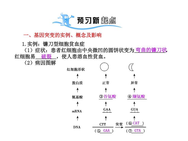 【人教版】高中生物必修二《 5.1 基因突变和基因重组》课件104