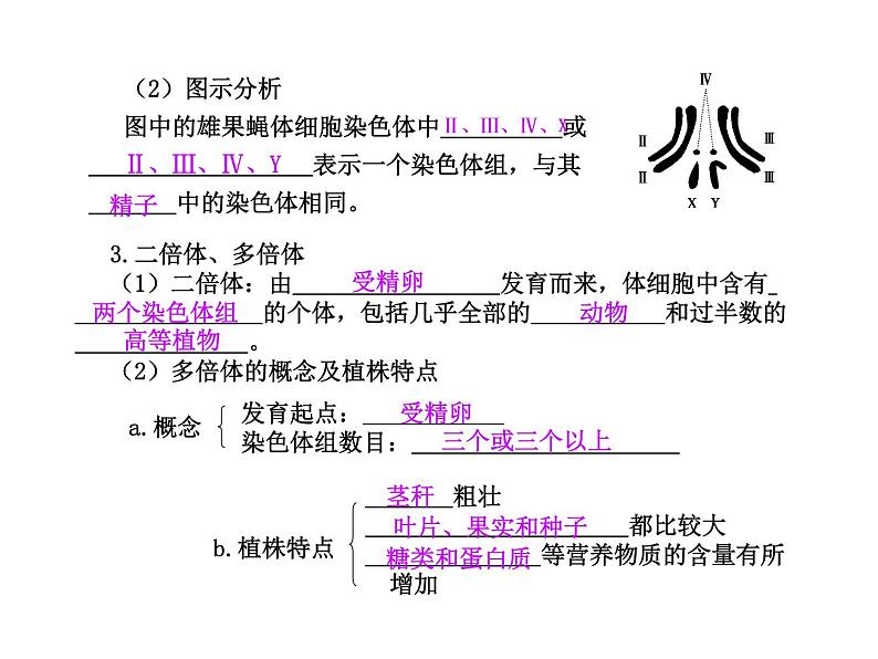 【人教版】高中生物必修二《 5.2 染色体变异》课件05