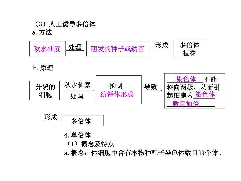 【人教版】高中生物必修二《 5.2 染色体变异》课件06