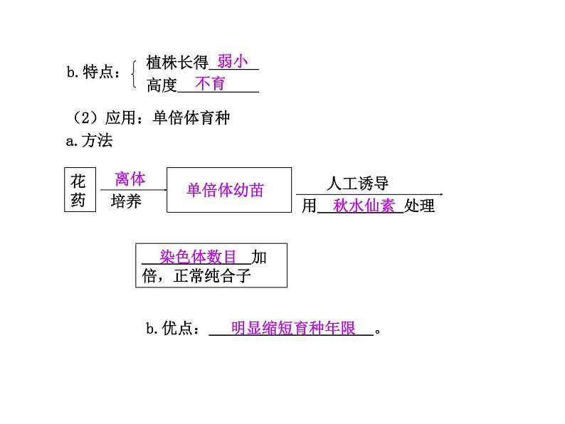 【人教版】高中生物必修二《 5.2 染色体变异》课件07