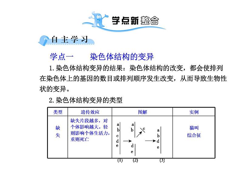 【人教版】高中生物必修二《 5.2 染色体变异》课件08