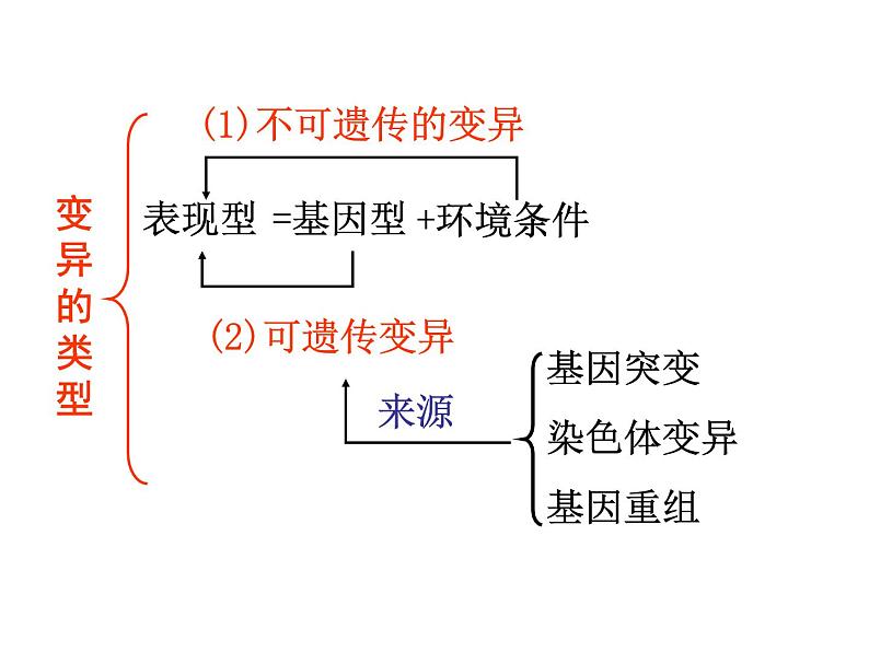 【人教版】高中生物必修二《 5.1 基因突变和基因重组》课件05