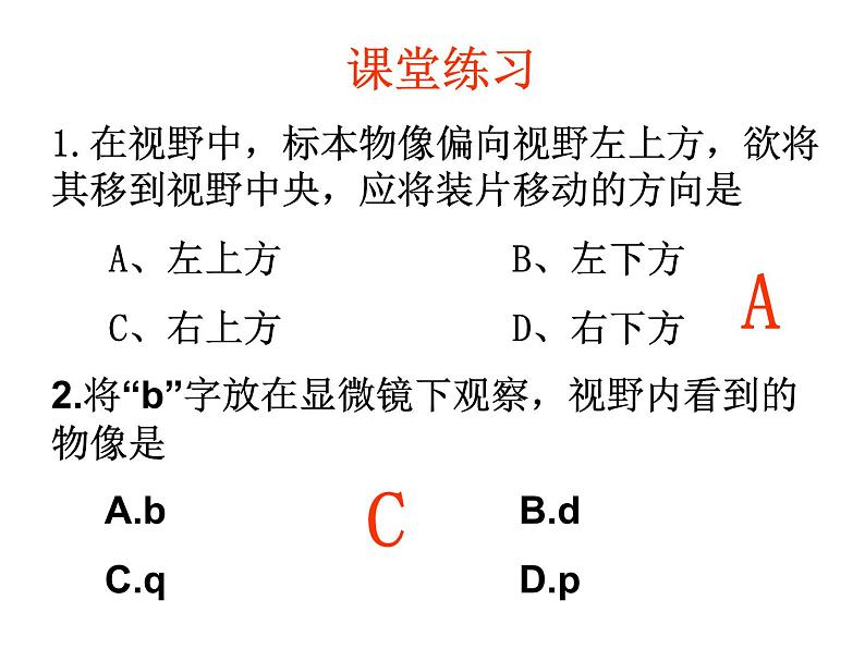 1.1细胞的多样性和统一性 课件03