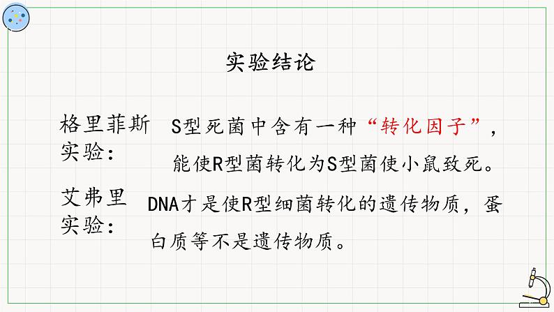 北师大版高中生物必修第二册：DNA是主要遗传物质的探索 课件PPT+教案+学案05