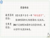 北师大版高中生物必修第二册：DNA是主要遗传物质的探索 课件PPT+教案+学案