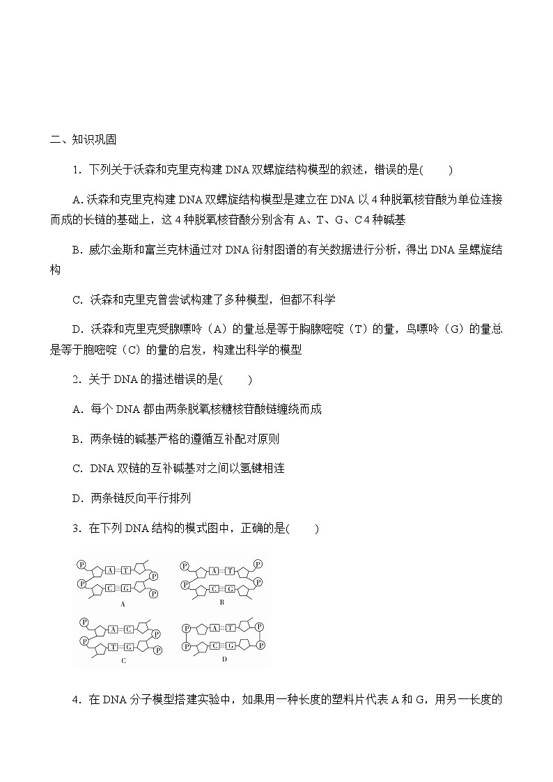 核酸的分子结构-学案第2页