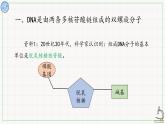 北师大版高中生物必修第二册：核酸的分子结构 课件PPT+教案+学案