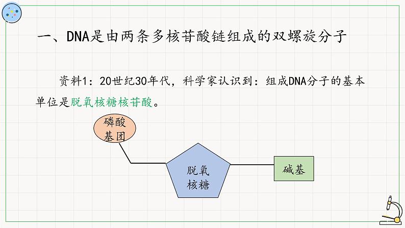 北师大版高中生物必修第二册：核酸的分子结构 课件PPT+教案+学案03