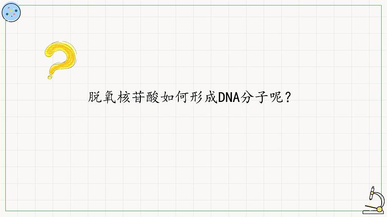 北师大版高中生物必修第二册：核酸的分子结构 课件PPT+教案+学案05