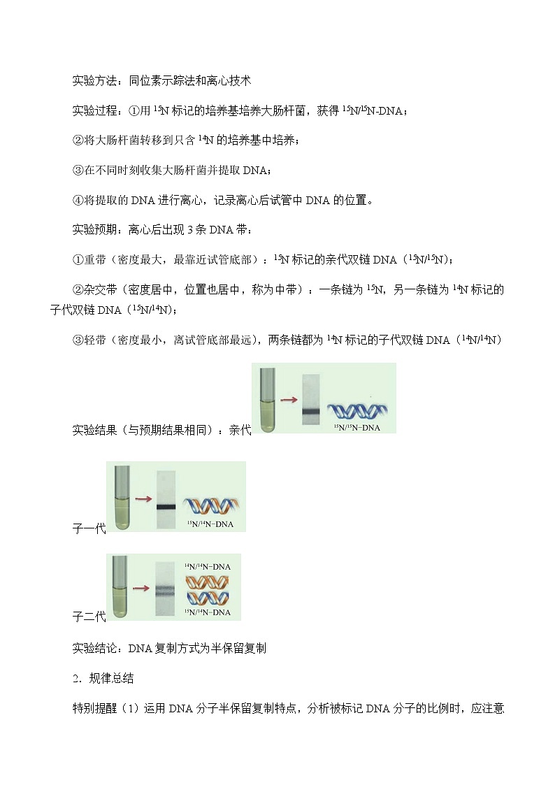 北师大版高中生物必修第二册：遗传信息的复制 课件PPT+教案+学案02