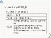 北师大版高中生物必修第二册：遗传信息的复制 课件PPT+教案+学案