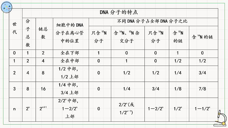 北师大版高中生物必修第二册：遗传信息的复制 课件PPT+教案+学案08