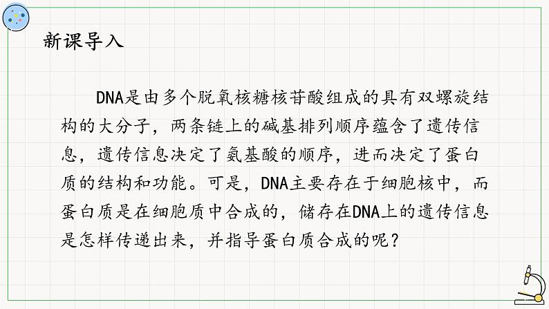 北师大版高中生物必修第二册：转录 课件PPT+教案+学案02