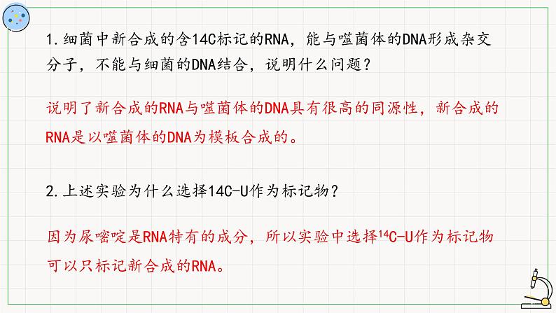 北师大版高中生物必修第二册：转录 课件PPT+教案+学案04